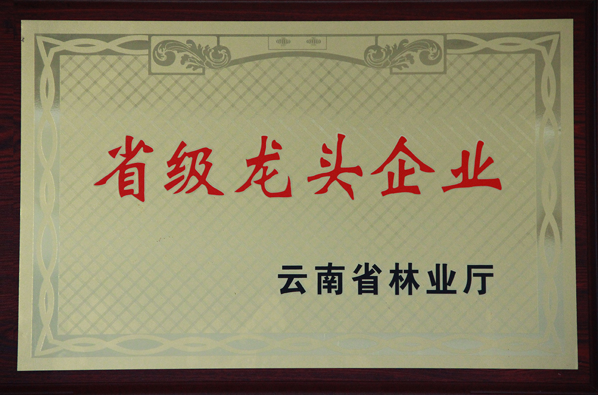 省级龙头企业