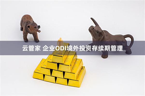 云管家 企业ODI境外投资存续期管理