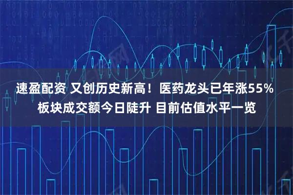 速盈配资 又创历史新高！医药龙头已年涨55% 板块成交额今日陡升 目前估值水平一览