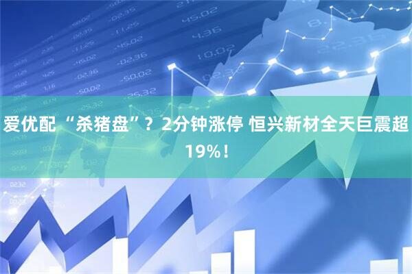 爱优配 “杀猪盘”？2分钟涨停 恒兴新材全天巨震超19%！