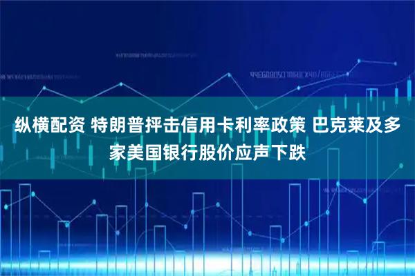 纵横配资 特朗普抨击信用卡利率政策 巴克莱及多家美国银行股价应声下跌
