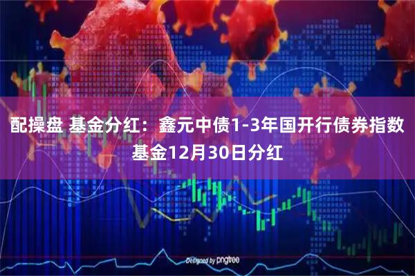 配操盘 基金分红：鑫元中债1-3年国开行债券指数基金12月30日分红