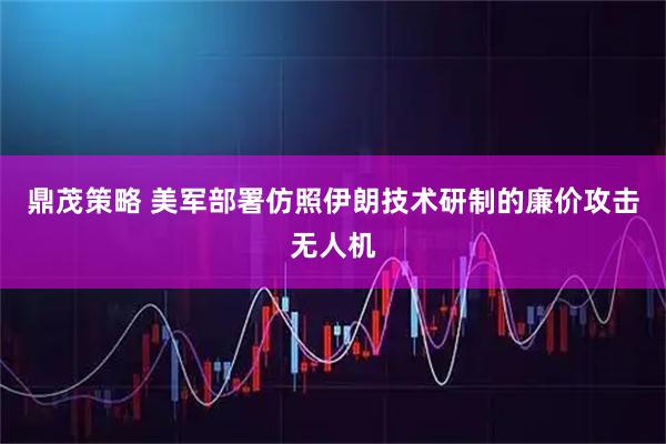 鼎茂策略 美军部署仿照伊朗技术研制的廉价攻击无人机