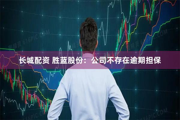 长城配资 胜蓝股份：公司不存在逾期担保