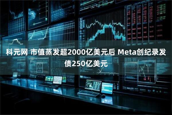 科元网 市值蒸发超2000亿美元后 Meta创纪录发债250亿美元